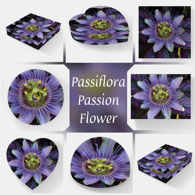 Purple Passion Flower Passiflora Botanical glass Paperweight (Creator Uploaded)