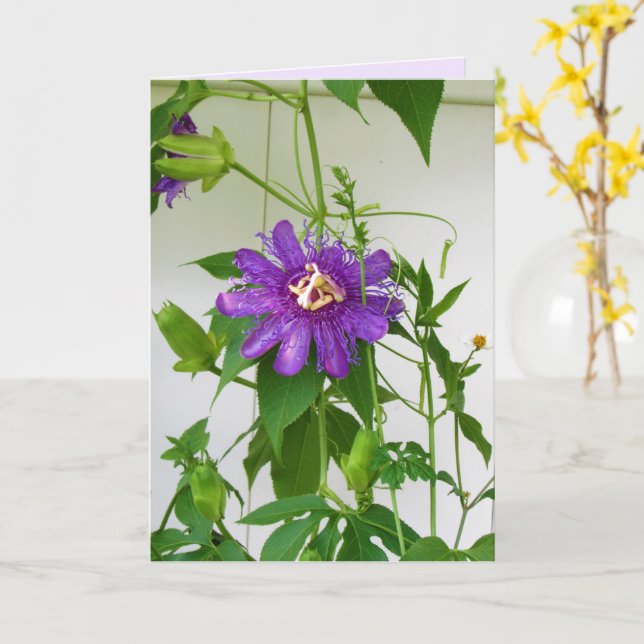 Purple Passion Flower - Portrait - Greeting Card (Yellow Flower)