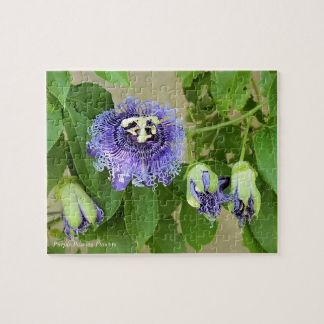 Purple Passion Flowers Jigsaw Puzzle Game (Horizontal)