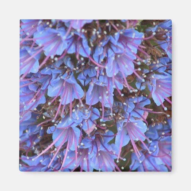 Purple Passion Magnet (Front)