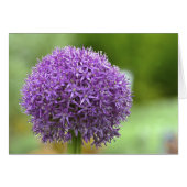 Purple Passion Notecard (Front Horizontal)