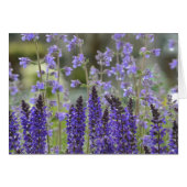Purple Passion Notecard (Front Horizontal)