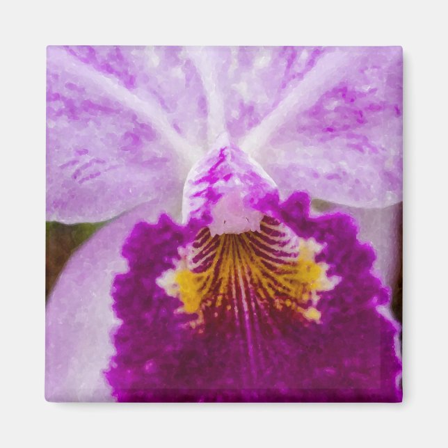 Purple Passion Orchid Magnet (Front)