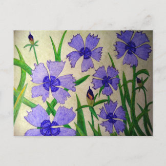 Purple Passion Postcard