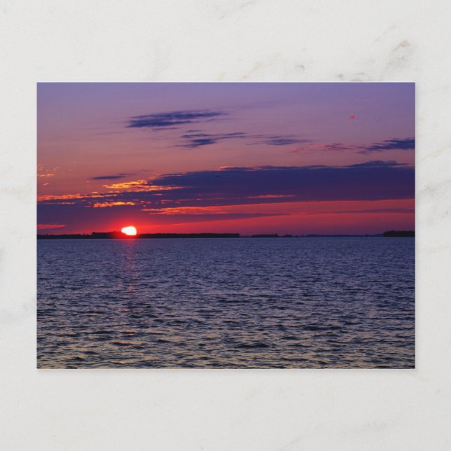 Purple Passion Postcard (Front)