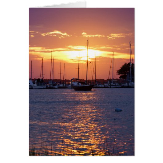 Purple Passion Sunset Cards (Front)