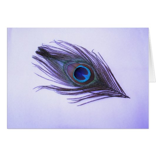 Purple Peacock Feather Cards (Front Horizontal)