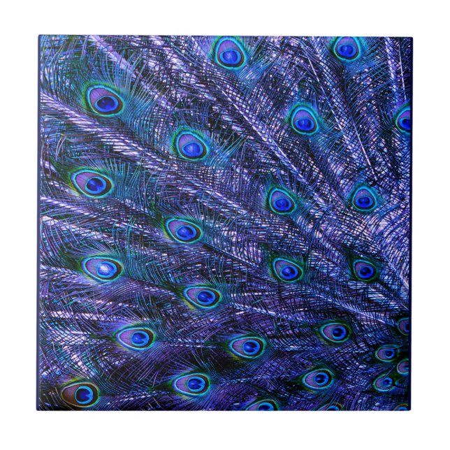 Purple Peacock Feathers Baby Blanket Ceramic Tile (Front)