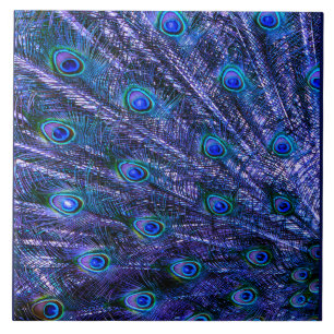 Purple Peacock Feathers Baby Blanket Ceramic Tile