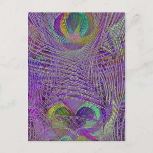 Purple Peacock Feathers Postcards