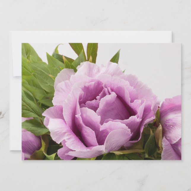 Purple Peonies Bouquet Invitation (Front)