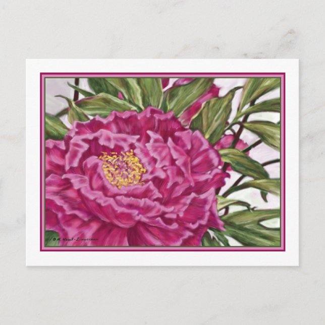 Purple Peony Flowers Garden Painting Postcard (Front)