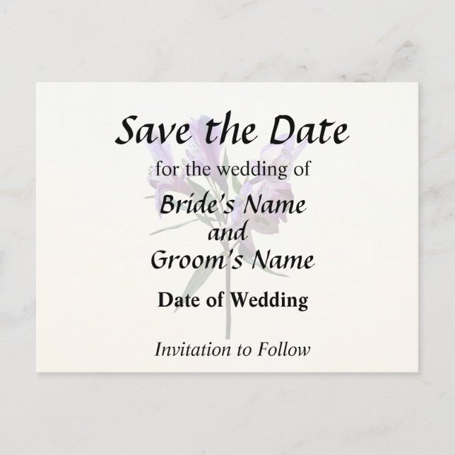 Purple Peruvian Lily Announcement Postcard (Front)