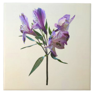 Purple Peruvian Lily Ceramic Tile