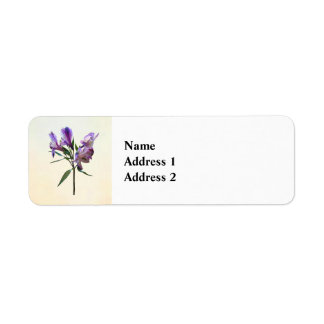 Purple Peruvian Lily Label