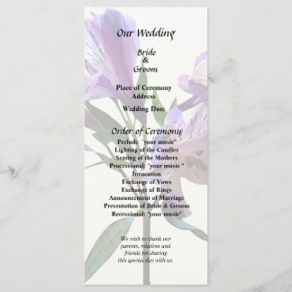 Purple Peruvian Lily Program