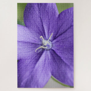 “Purple Petal Puzzle – Serenity in Every Piece”
