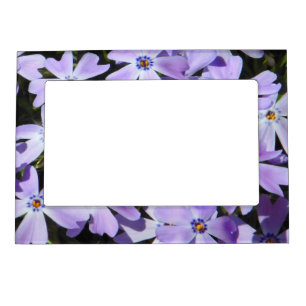 Purple Petals Magnetic Frame