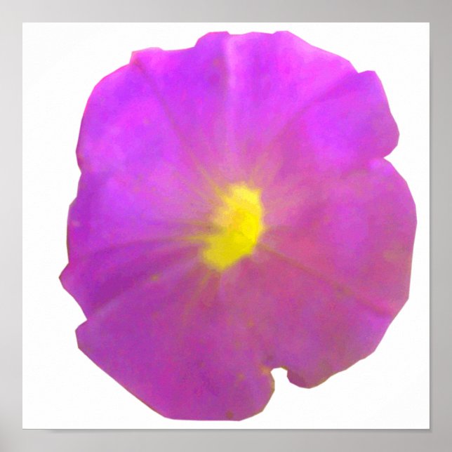 Purple Petunia Poster (Front)