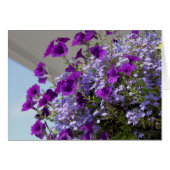 Purple Petunias 5x7 Card (Front Horizontal)