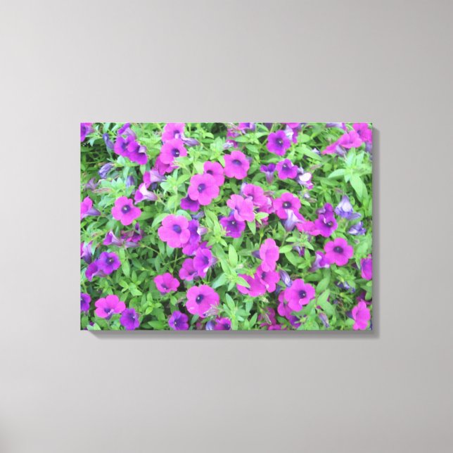 Purple Petunias Canvas Print (Front)