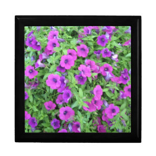 Purple Petunias Keepsake Box