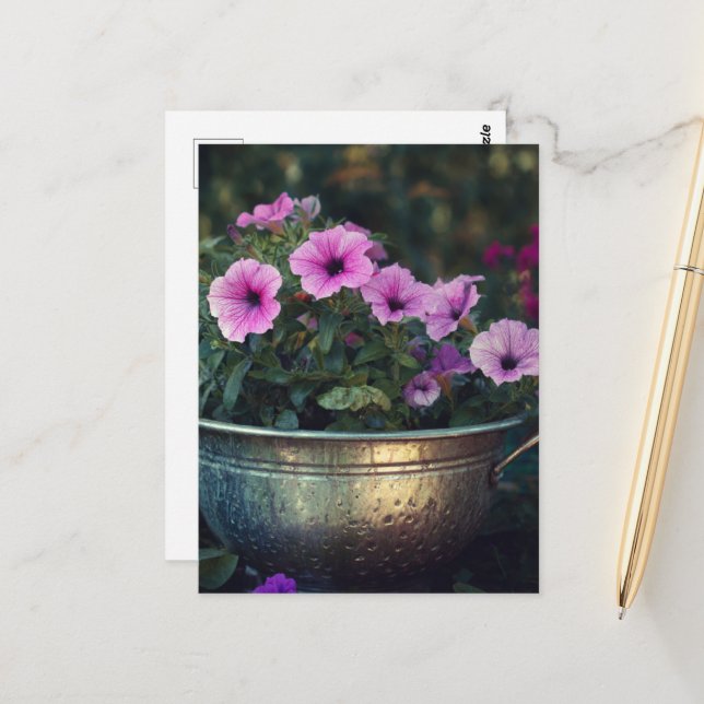Purple Petunias Postcard (Front/Back In Situ)