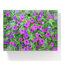 Purple Petunias Rectangular Paperweight