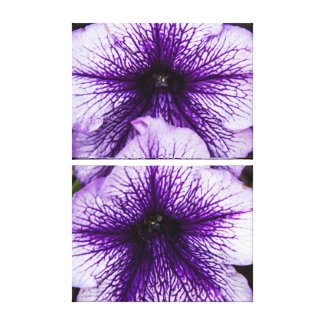 Purple Petunias Triptych Wall Art