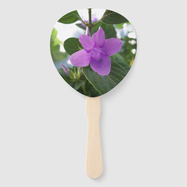 Purple Philippine Violet on a customizable fan (Front)