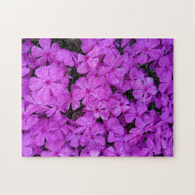 Purple Phlox Flowers Jigsaw Puzzle (Horizontal)