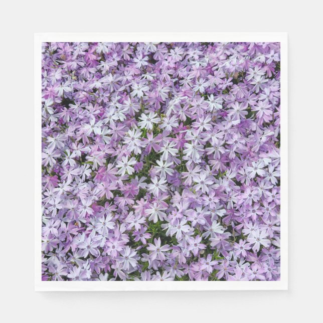 Purple Phlox Flowers Napkins (Front)