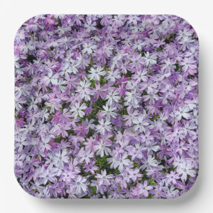Purple Phlox Flowers Paper Plates