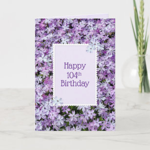 Purple Phlox For 104th Birthday Card