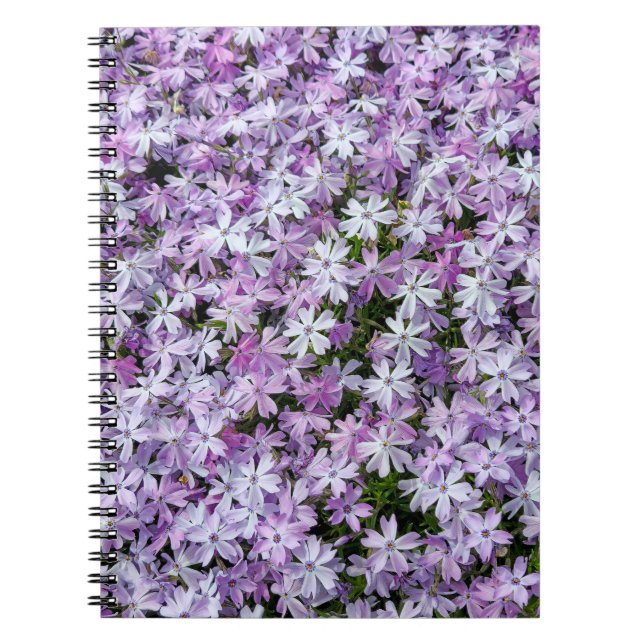Purple Phlox Garden Notebook (Front)