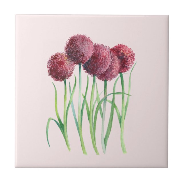 Purple Pink Allium Watercolor Botanical Painting Ceramic Tile (Front)