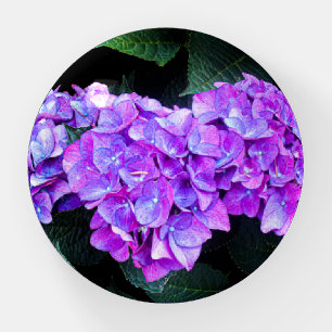 Purple Pink Flowers Paperweight