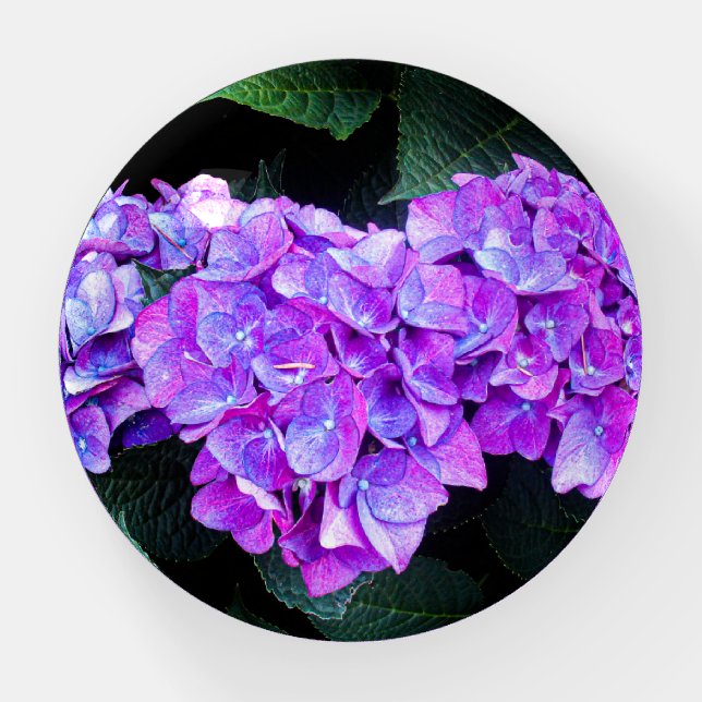 Purple Pink Flowers Paperweight (Front)