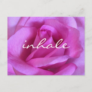 Purple Pink Rose Flower Bold Photo Inhale Script Postcard