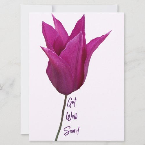 Purple pink tulip flowers get well soon fine art holiday card