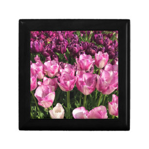 Purple & Pink Tulip Garden Bed, Oregon Gift Box