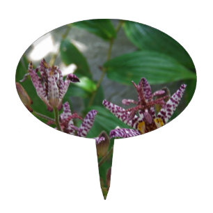 Purple pink white striped orchid like flower lilly cake topper