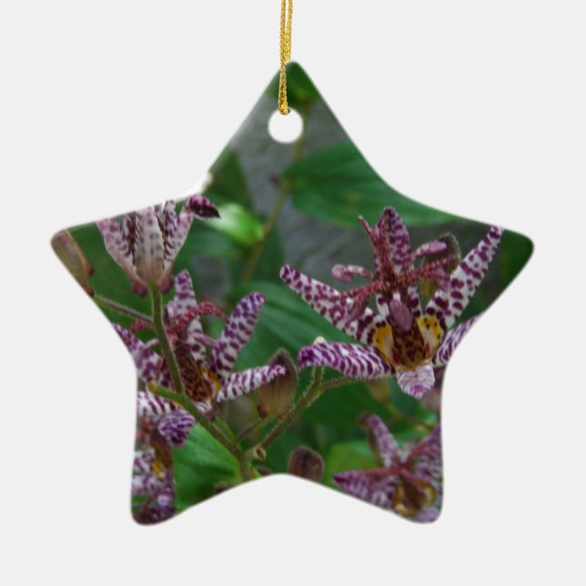 Purple pink white striped orchid like flower lilly ceramic ornament (Front)