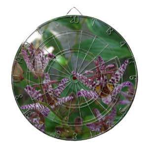 Purple pink white striped orchid like flower lilly dartboard with darts