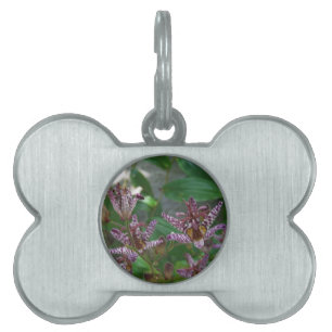 Purple pink white striped orchid like flower lilly pet tag
