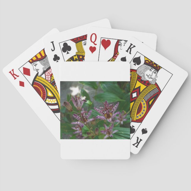 Purple pink white striped orchid like flower lilly poker cards (Back)