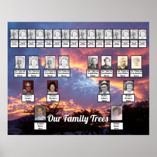 Purple Pink Yellow Sunset Photo 2 Family Trees  Poster