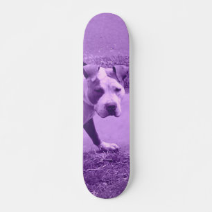 Purple Pit Bull Skateboard