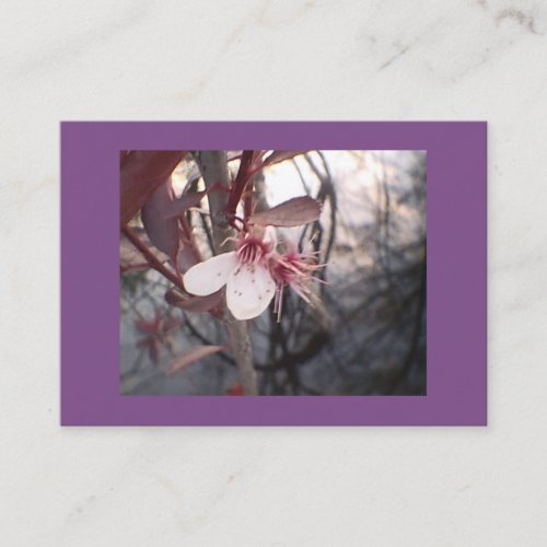 Purple Plum Bloom Business Card