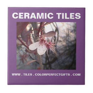 Purple Plum Ceramic Tile